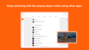 VLC for Android (f-droid version) 3.6.5 screenshot 23