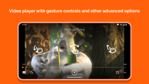 VLC for Android (f-droid version) 3.6.5 screenshot 6