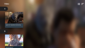 VLC for Android (f-droid version) 3.6.5 screenshot 26