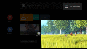 VLC for Android (f-droid version) 3.6.5 screenshot 31