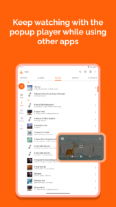 VLC for Android (f-droid version) 3.6.4 Beta 5 screenshot 15