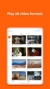 VLC for Android (f-droid version) 3.6.4 Beta 5 screenshot 9
