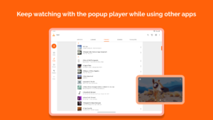 VLC for Android (f-droid version) 3.6.4 Beta 5 screenshot 23