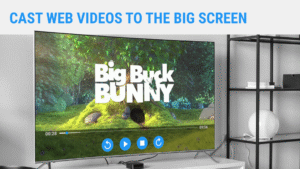 Web Video Caster Receiver 2.0.2 screenshot 5