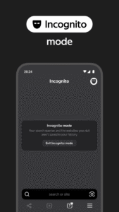 Yandex Browser (alpha) 25.8.6.1 screenshot 8