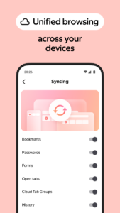 Yandex Browser with Alice AI 25.6.0.271 screenshot 6