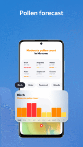 Yandex Weather & Rain Radar 3.00 screenshot 3