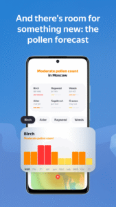 Yandex Weather & Rain Radar 25.5.20 screenshot 3