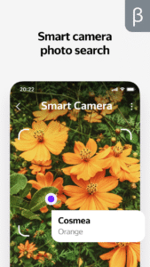 Yandex with Alice (beta) 25.63 screenshot 2