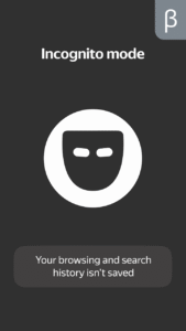 Yandex with Alice (beta) 25.63 screenshot 5