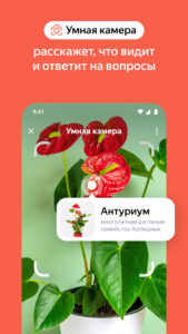 Яндекс — с Алисой AI 25.26 screenshot 6