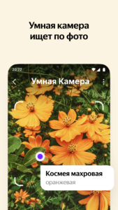 Яндекс — с Алисой AI 25.46 screenshot 3