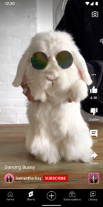 YouTube 20.24.39 screenshot 2